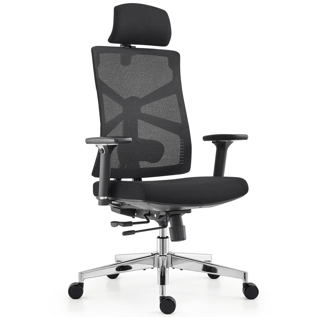 HOLLUDLE Ergonomic Office Chair Shaper Chair for All-Day Comfort