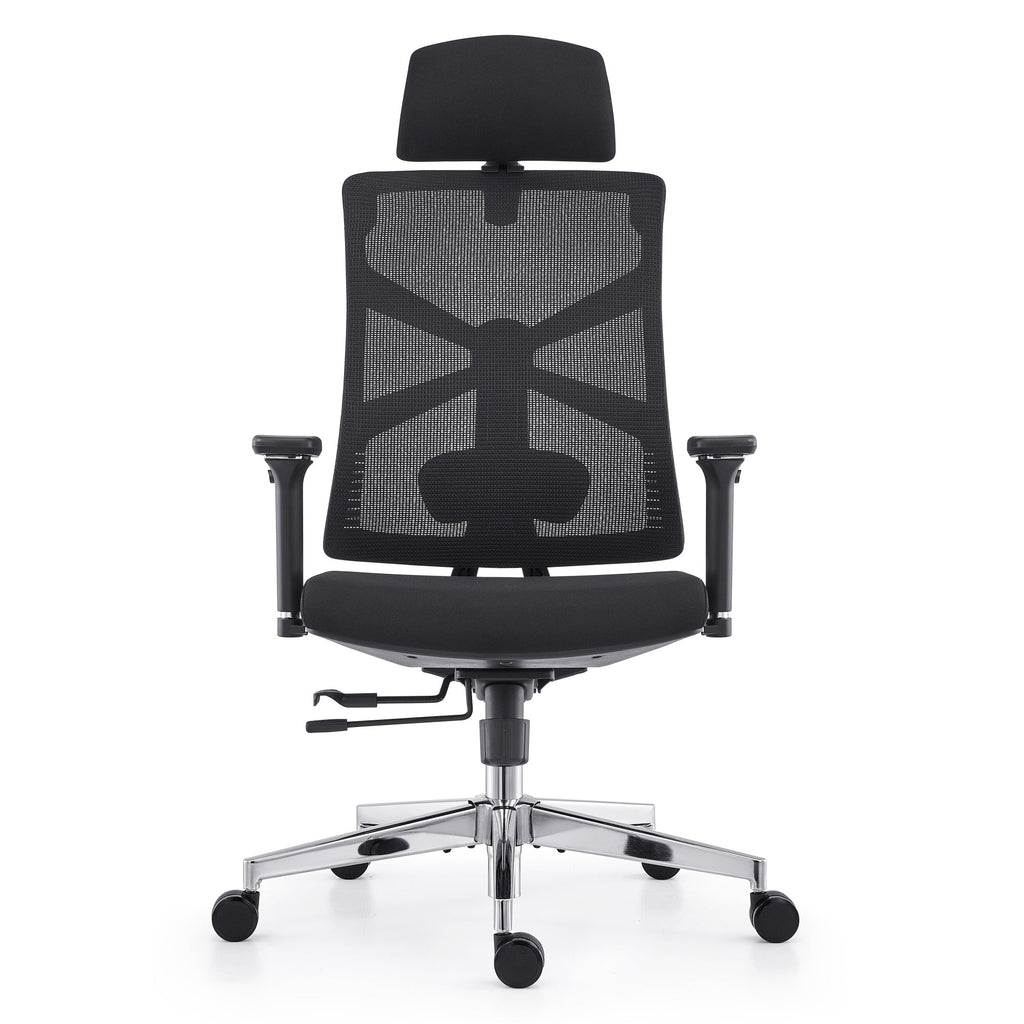 HOLLUDLE Ergonomic Office Chair Shaper Chair for All-Day Comfort