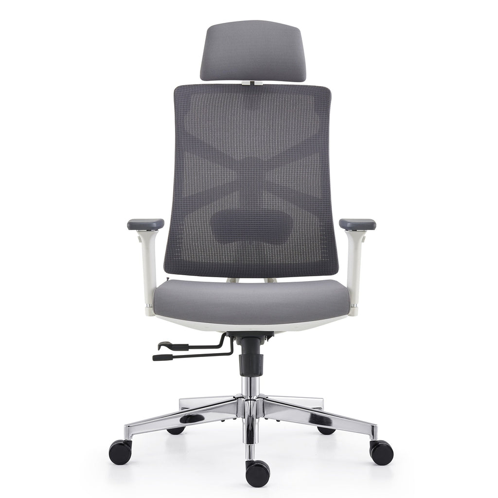 HOLLUDLE Ergonomic Office Chair Shaper Chair for All-Day Comfort