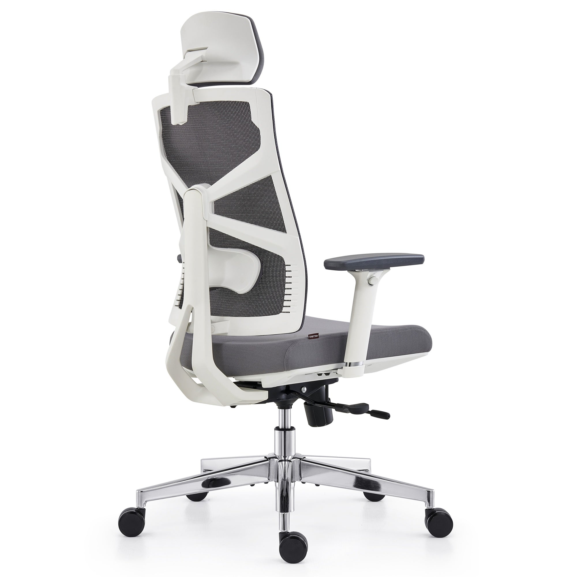 HOLLUDLE Ergonomic Office Chair Shaper Chair for All-Day Comfort
