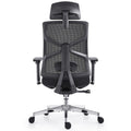 HOLLUDLE Ergonomic Office Chair Shaper Chair for All-Day Comfort
